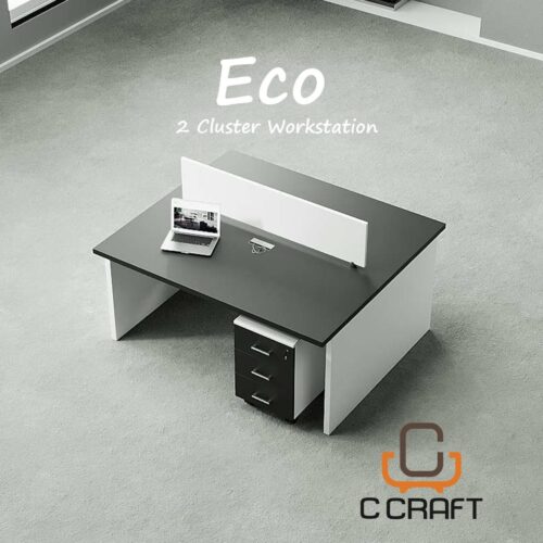 Eco 2-Seats workstation