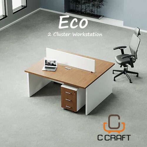Eco 2-Seats workstation