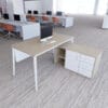 Executive Desk-501-1