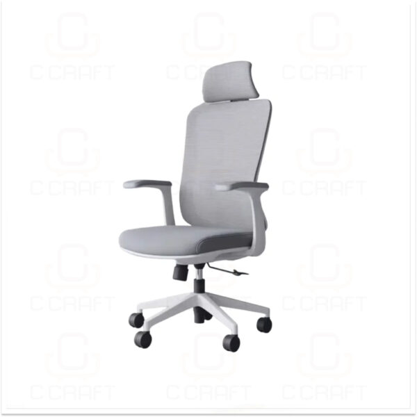 Ergonomic Chair CC-2351-2 Ergonomic Chair CC-2351-2