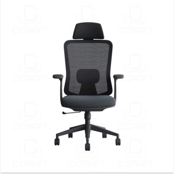 Ergonomic Chair CC-2351 Ergonomic Chair CC-2351