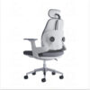 Ergonomic Chair CC-2352 Ergonomic Chair CC-2352