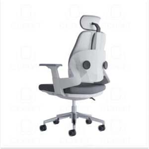 Ergonomic Chair CC-2352 Ergonomic Chair CC-2352