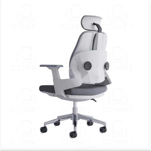 Ergonomic Chair CC-2352 Ergonomic Chair CC-2352