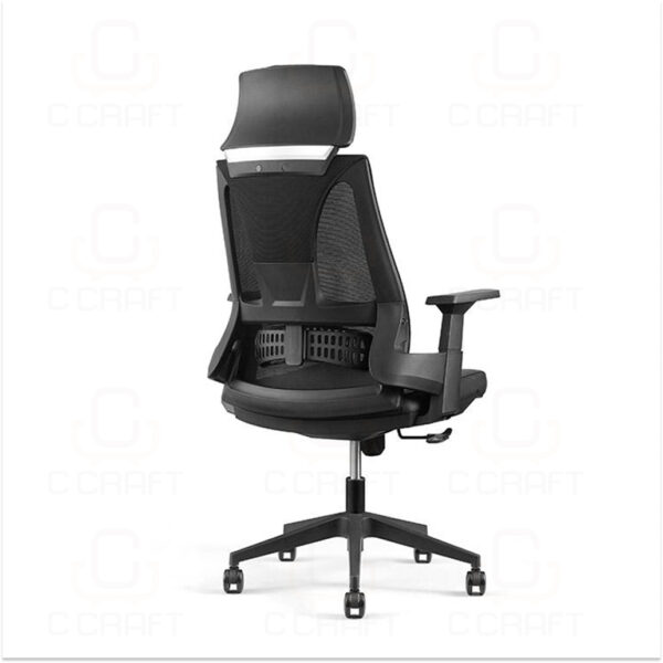 Ergonomic Chair CC-2368