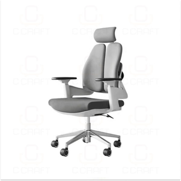 Ergonomic Chair _ CC-2352-2 Ergonomic Chair _ CC-2352-2