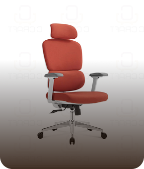 Ergonomic Chair