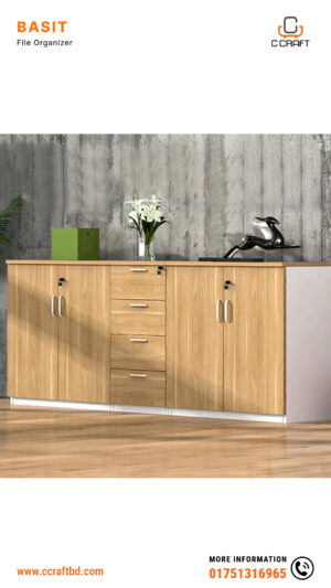 BASIT File Organizer
