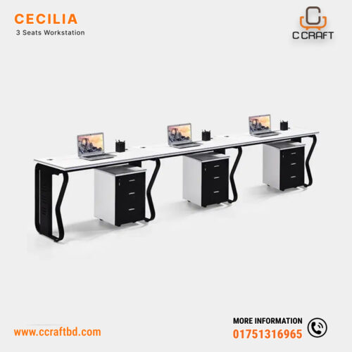 Cecilia 3-Seat Workstation